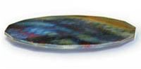 Oyster Plate